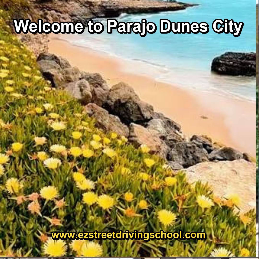 Driving Lessons in Parajo Dunes